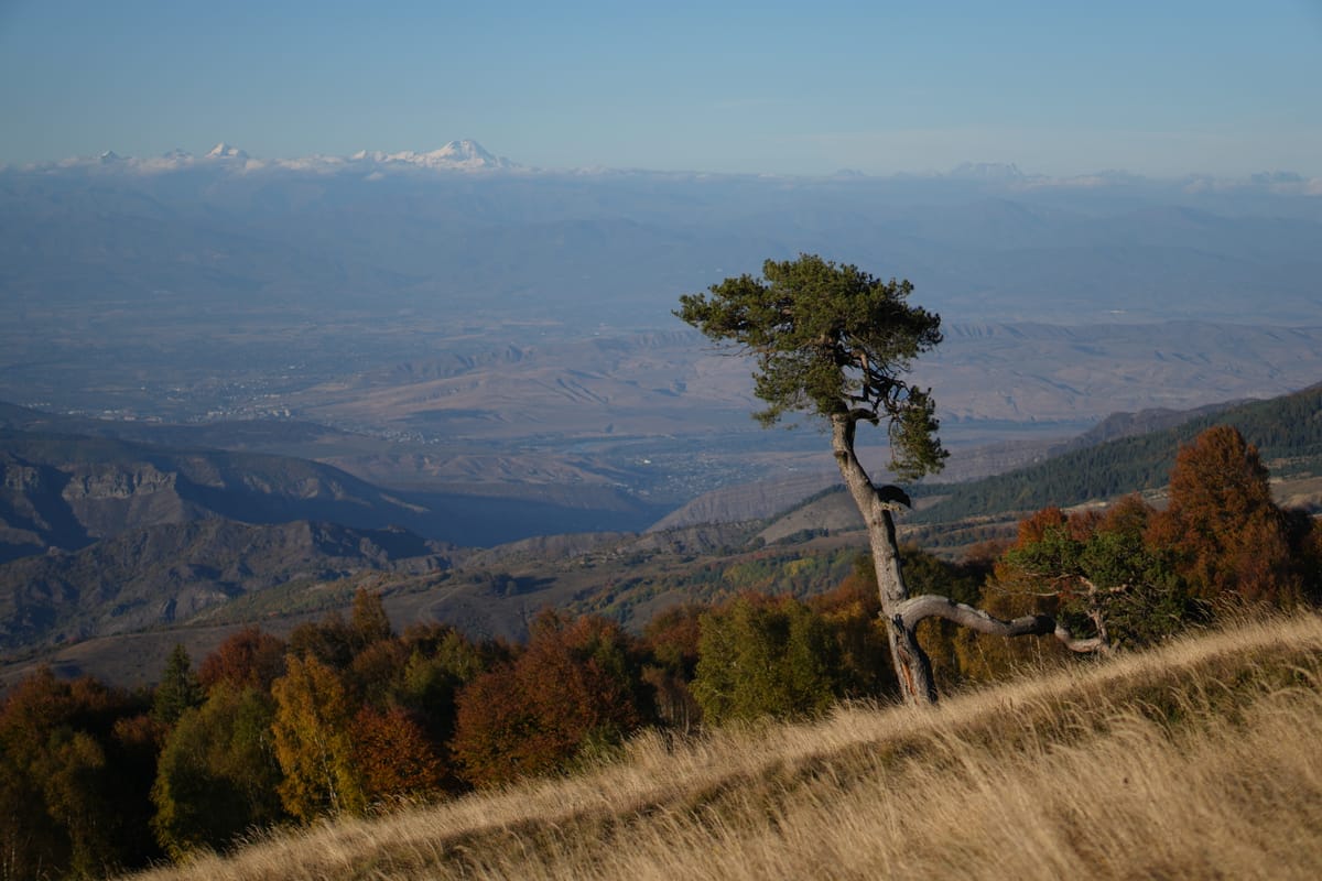 Осеннее соло у Гори